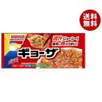 ショッピングギョーザ 【冷凍商品】味の素 ギョーザ 12個×20袋入｜ 送料無料