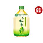 伊藤園 お〜いお茶 カテキン緑茶【特定保健用食品 特保】 1Lペットボトル×12本入×(2ケース)｜ 送料無料