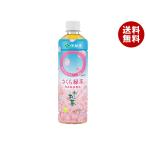 伊藤園 お〜いお茶 〇やか(まろやか) さくら緑茶 460mlペットボトル×30本入×(2ケース)｜ 送料無料