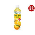 伊藤園 ニッポンエール 国産かんきつトリオ 400gペットボトル×24本入×(2ケース)｜ 送料無料