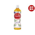 伊藤園 ハトムギ茶【機能性表示食品】 500mlペットボトル×24本入｜ 送料無料