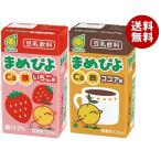 マルサンアイ まめぴよ いちご味＆ココア味 2種セット 125ml紙パック×48(各24本×2ケース)本入｜ 送料無料 爆買