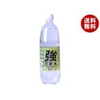友桝飲料 強炭酸水 レモン(K) 1000mlペットボトル×15本入×(2ケース)｜ 送料無料