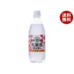 友桝飲料 乳酸菌入りサイダー 500ml�
