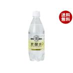 友桝飲料 強炭酸水レモン 500mlペットボトル×24本入×(2ケース)｜ 送料無料 爆買