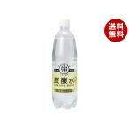 友桝飲料 強炭酸水レモン 1Lペットボトル×15本入×(2ケース)｜ 送料無料 爆買