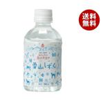 ゴールドパック 北アルプスの清らか天然水 雪山しずく 280mlペットボトル×24本入×(2ケース)｜ 送料無料 天然水 ミネラルウォーター 水 ペットボトル