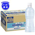 コカコーラ アクエリアス ゼロ ラベルレス 500mlペットボトル×24本入×(2ケース) メーカー直送｜全国送料無料