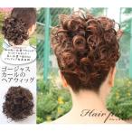 ウィッグ ポイントウィッグ ヘアピ