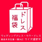 ★ロングドレス★ ウェディングドレス カラードレス 在庫処分 2024年末セール 在庫一掃 赤字セール 記念撮影 お買い得 今在庫限り