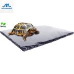  черепаха сухой панель черепаха коготь ... накладка теплоизоляция увлажнитель рептилии. скала . скальная порода капот plate садок для разведения салон низ песок покрытие пола 