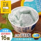 高知アイス 天日塩ジェラート Made in 土佐 16個