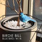 BIRDIE BILL Birdie Bill BLUE BIRD Bluebird Aoitori произведение искусства зажим держатель magnet магнит 