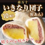 【GW中休業・5/8から発送再開】いきなり団子 森万十 熊本 阿蘇 2024 スイーツ  和菓子 だんご 10個入 内祝 お取り寄せ 【冷凍品】送料無料