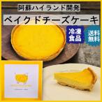 ショッピングチーズケーキ 【11/1 再入荷】2025 ギフト ベイクドチーズケーキ 阿蘇ハイランド スイーツ ケーキ 濃厚 誕生日 人気 バスク 熊本 阿蘇 プレゼント お祝 ご挨拶 冷凍
