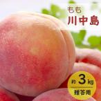 もも 桃 川中島 モモ 約3kg 贈答用  JA 果物 フルーツ 送料無料  8月下旬〜9月上旬順次発送 もも川中島約3kg