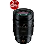 PanasonicLEICADGV...