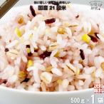 「お手軽」 国産 21穀米 （500g）もち麦 もちきび もちあわ