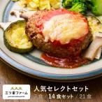 冷凍弁当 お弁当 おかず 人気セレクト 14食セット 冷凍食品 一人暮らし 健康 簡単 時短調理 減塩 栄養一人暮らし お惣菜 冷凍総菜 弁当 宅配 三ツ星ファーム