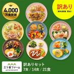 【14食セット】冷凍弁当 お弁当 おかず たたき売り 訳あり 冷凍食品 一人暮らし 健康 簡単 時短調理 減塩 一人暮らし お惣 菜 冷凍総菜