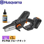 ハスクバーナ アスパイア P5-P4A プルーナ キット バッテリー・充電器付き 970621309 Aspire TM ハンディソー 電動 チェーンソー バッテリー式 充電式