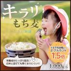 もち麦 国産 キラリもち麦 1kg もちむぎ モチムギ 餅麦 きらり 雑穀 水溶性食物繊維が豊富 ベータグルカン 宅配便配送