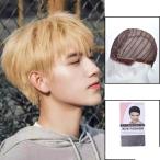  парик мужской парик мужской парик Short дешевый человек шерсть полный парик WIG специальный сеть есть 4 выбор цвета возможно 