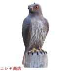 Eagle манок ястреб. модель колеблющийся сова подлинный товар целиком .... удаление? защита от птиц защита от животных меры 