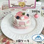 スクイーズ 大サイズ 中サイズ 肉球 ネコ ねこ 低反発 おもちゃ かわいい 握る ストレス解消 もちもち おしゃれ オシャレ Y2K 握って遊