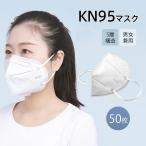 N95 KN95マスク 50枚 使い