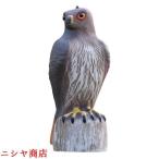  Eagle манок ястреб. модель колеблющийся сова подлинный товар целиком .... удаление? защита от птиц защита от животных меры 