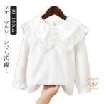  одежда длинный рукав ребенок входить . тип презентация весна женщина ... тип воротник имеется Kids круг воротник кружевной бюстгальтер незначительный девочка симпатичный входить . тип блуза церемония окончания Bick цвет осень 