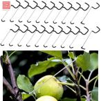 枝曲げクリップ 枝固定器 強力な 再利用可能 枝曲げクリップ 枝ベンダー 20個セット 樹木 スペーサー 引抜 ワイヤー 冷間 果樹枝整形器 リンゴ木の枝引き器枝調