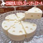 ショッピングチーズケーキ 母の日 チーズケーキ プレーン ホール 直径14cm  6ピース 420g 北海道 生乳100％ 可愛い形 CHACOCHEE アニメ チーズ マンガ 漫画