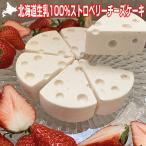 残暑見舞い チーズケーキ ストロベリー ホール 半解凍 でも美味しい 直径14cm 6ピース 420g 北海道