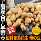 千葉県産 天日干し 殻付き 落花生 千葉半立 俺の豆 ピーナッツ 30%OFF 賞味期限間近のため訳あり特価 全国送料無料 メール便