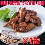 敬老の日 おつまみ 国産 鹿児島 うなぎ 肝 の佃煮 60g×1個 缶詰 メール便 送料無料 鰻 缶 父の日
