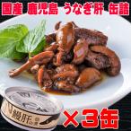 残暑見舞い おつまみ 国産 鹿児島 うなぎ 肝 の佃煮 60g×3個 缶詰 メール便 送料無料 鰻 缶 父の日