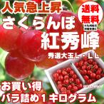 予約販売 さくらんぼ 紅秀峰 秀品 バラ詰め L・LL 1kg 山形県東根産  [紅秀峰バラ１キロ] チルド便（クール便）