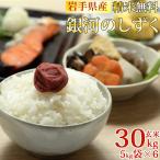新米 米 お米 5kg×6 銀河のしずく 玄米30kg 令和7年産 岩手県産 白米・無洗米・分づきにお好み精米 送料無料 当日精米