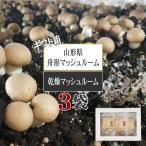 Yahoo! Yahoo!ショッピング(ヤフー ショッピング)山形県舟形町産 舟形マッシュルーム 無添加 国産 [箱入 乾燥マッシュルーム3袋セット BY3] ギフト箱 熨斗対応 YP メール便 送料無料 即送