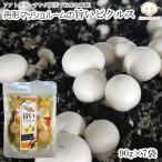  Yamagata префектура лодка форма блок производство лодка форма гриб иметь целью . пикули [ гриб. пикули ×7 пакет BL] NP немедленная отправка почтовая доставка 