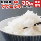 米 お米 10kg×3 ササニ