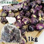 生丸茄子 生1kg なす 薄皮丸茄子 梵天丸茄子 山形県飯豊町産 クール便 飯豊町