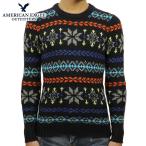 アメリカンイーグル セーター メンズ 正規品 AMERICAN EAGLE CREW SWEATER 0512-9994