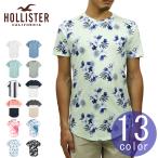 ショッピングホリスター ホリスター Tシャツ メンズ 正規品 HOLLISTER 半袖Tシャツ カーブヘム クルーネックTシャツ Curved Hem T-Shirt