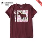 アバクロキッズ Tシャツ 子供服 正規品 AbercrombieKids 半袖Tシャツ exploded icon tee 257-0891-0108-055