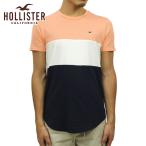 ショッピングホリスター ホリスター Tシャツ メンズ 正規品 HOLLISTER 半袖Tシャツ クルーネックTシャツ カーブヘム Colorblock Curved Hem T-Shirt 324-368-0646-600