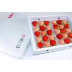 【送料無料】熊本産 雅乃苺 恋みのり 淡雪 紅白セット-250g×2/熨斗/高級いちご/贈答用/ホワイトデー/入学祝い/母の日