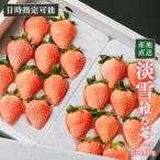 ショッピングいちご 【お歳暮 冬ギフト】雅乃苺 淡雪 440g (220g×2P) 白いちご 希少な淡紅色 熊本県産 いちご 贈答用 贅沢ペアセット